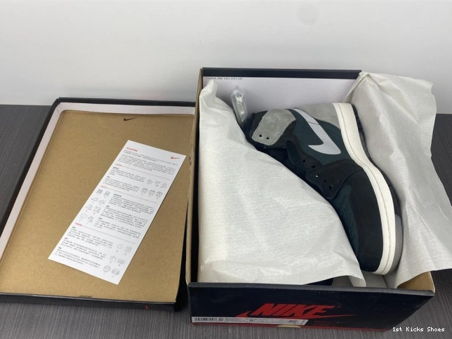 1st Kicks Gore-Tex 1 Particle DB2889-001 High Jordan Element Grey Black Retro 0824